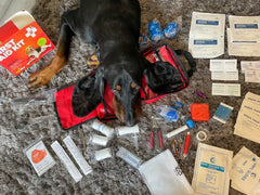 Pet First Aid Kit