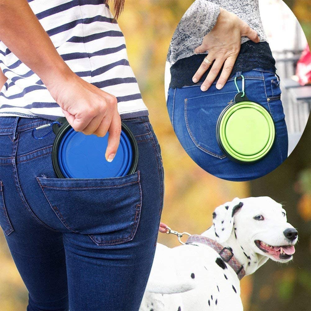 Small Silicone Collapsible Dog Bowls